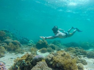 Ramai Ya! Sudah Lebih dari 26.000 Traveler Snorkeling-Diving di Labuan Bajo
