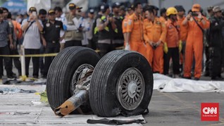 RI Duga Cacat Desain Boeing 737 MAX 8 Penyebab Lion Air Jatuh