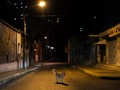 FOTO: Krisis Ekonomi dan Kekerasan, Caracas Jadi Kota 'Mati'