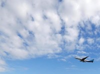 Salim Group Bikin Bandara di Bintan, Seberapa Besar?