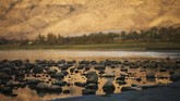 Perairan Galilee berada di utara Israel, berbatasan dengan Dataran Tinggi Golan, Galilee dan Lembah Yordania.