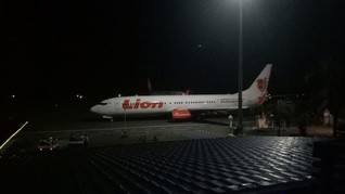 Klarifikasi Lion Air Soal Insiden Kalajengking dalam Kabin