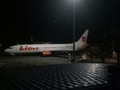 Klarifikasi Lion Air Soal Insiden Kalajengking dalam Kabin