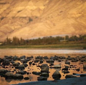 Danau Terbesar di Israel Tercemar Polusi dan Terancam Kering