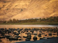 Danau Terbesar di Israel Tercemar Polusi dan Terancam Kering