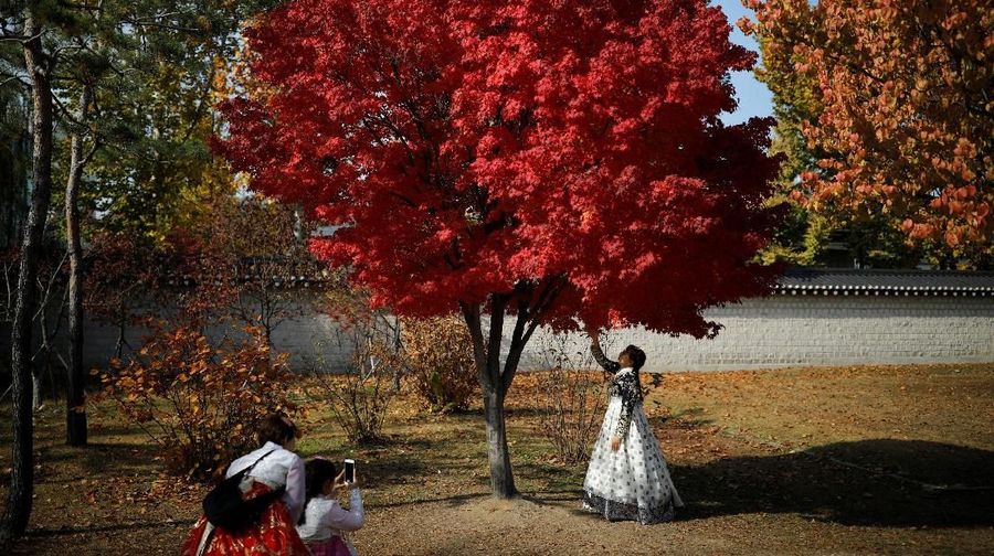 A man walks past fallen leaves on a late autumn day in Seoul, South Korea, November 7, 2018. REUTERS/Kim Hong-Ji