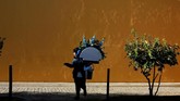 Seorang perempuan mengunjungi pemakaman San Fernando saat digelarnya perayaan All Saints Day di Sevilla, Spanyol. (REUTERS/Marcelo del Pozo)