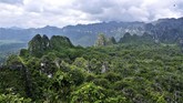 Lukisan gua ini terletak di Gua Karst di Semenanjung Sangkulirang-Mangkalihat, Kalimantan Timur. Sebuah wilayah yang sangat sulit dijangkau. (Arkenas/Pindi Setiawan)