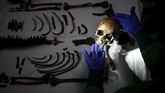 Tengkorak tersebut ditata di atas kain putih. Kerangka yang ditemukan hampir lengkap. Namun, banyak tulang yang sudah menghitam. (REUTERS/Christian Hartmann)