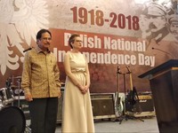 Darurat Sawah, Ini Upaya RI Jaga Ketahanan Pangan
