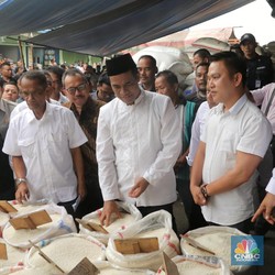 Dolar Tinggi Bikin RI Impor Jagung! Kok Bisa?
