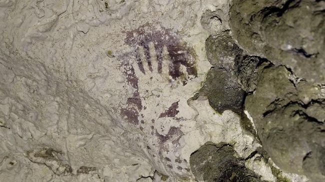 440 Contoh Gambar Figuratif Hewan Terbaru