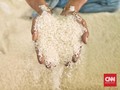BPS: Harga Beras Eceran Naik 1,1 Persen