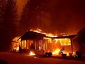 Perubahan Iklim Bikin Karhutla di California Sulit Diatasi