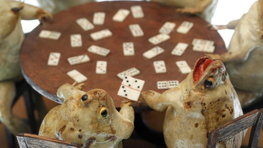Museum ini menampilkan koleksi 108 katak yang diposisikan dalam adegan yang menirukan kehidupan sehari-hari.