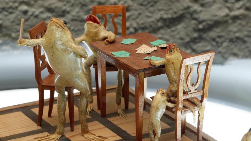 Museum ini menampilkan koleksi 108 katak yang diposisikan dalam adegan yang menirukan kehidupan sehari-hari.