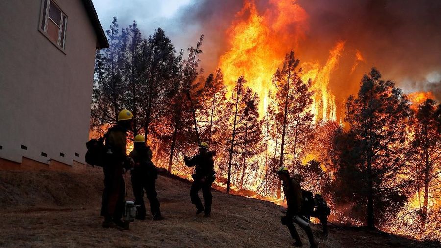 Sejumlah bangunan dan kendaraan ikut terbakar dilahap si jago merah setinggi 15,25 meter.