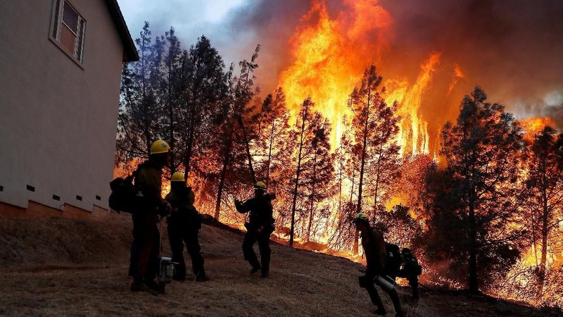 Sejumlah bangunan dan kendaraan ikut terbakar dilahap si jago merah setinggi 15,25 meter.