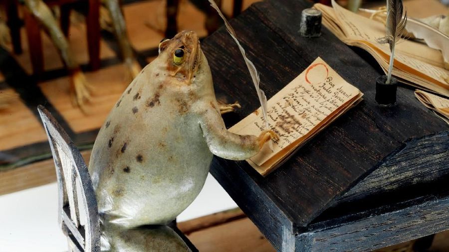 Museum ini menampilkan koleksi 108 katak yang diposisikan dalam adegan yang menirukan kehidupan sehari-hari.