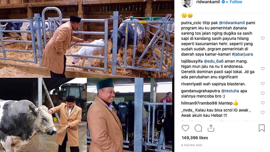 Ridwan Kamil ajak milenial untuk bisnis sapi di Jawa Barat