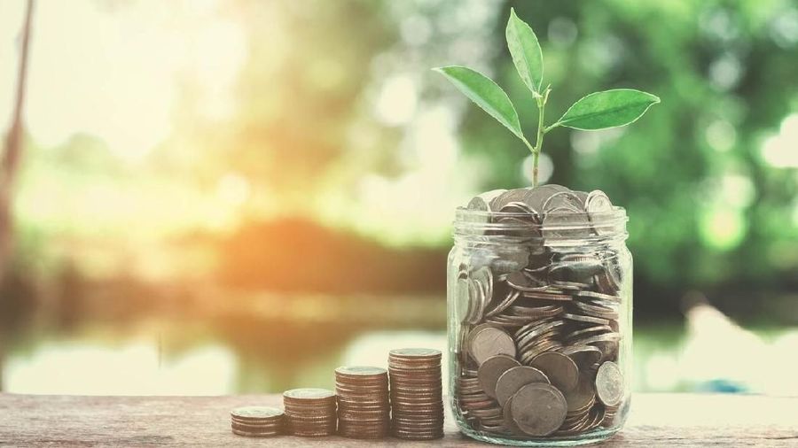 business concept money of glass and growht small tree