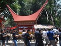Magnet Jokowi di 'Lovely Desember' Toraja