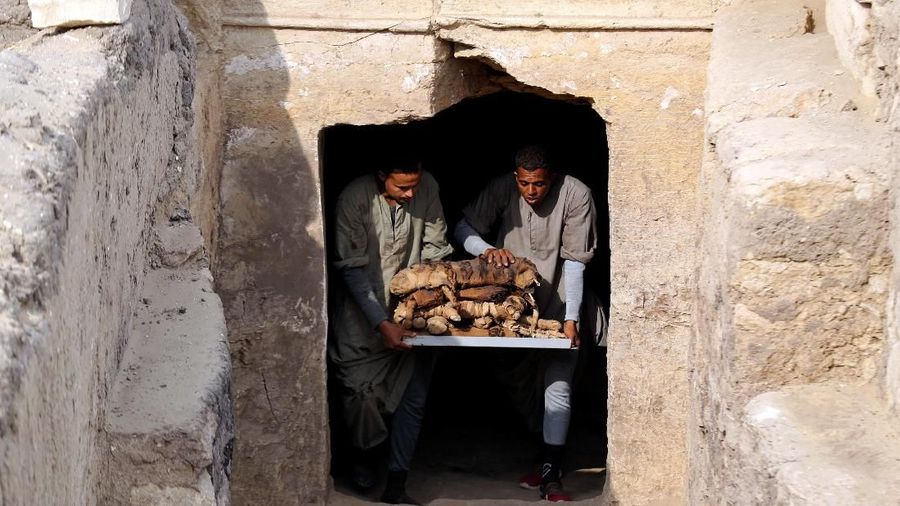 Mumi itu ditemukan di tepi kompleks piramida Raja Userkaf di pemakaman kuno Saqqara, selatan Kairo, Mesir.