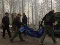 Korban Tewas Kebakaran Hutan California Menjadi 42 Orang