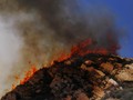 Kebakaran Hutan, Ribuan Warga Australia Dievakuasi