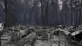 Bencana yang dijuluki Camp Fire dilaporkan sudah menghancurkan lebih dari 6.700 rumah dan tempat bisnis di Paradise. (Reuters/Stephen Lam)