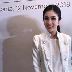 Tak Kalah dengan Suami, Ini Rantai Bisnis Sandra Dewi