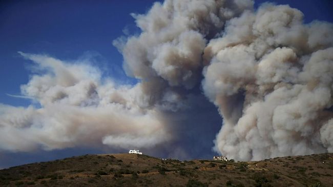 Hektaran Hutan Siberia Hangus Diduga Dibakar Pembalak Liar