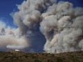 Sekitar 30 Pemadam China Meninggal dalam Kebakaran Hutan