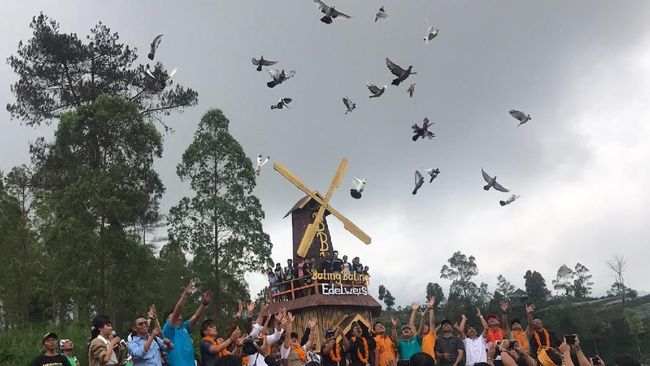 Destinasi Digital Peken Edelweis Ramaikan Pariwisata Bali