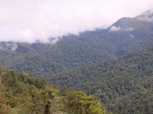 Cegah Kebakaran Hutan, Pendakian ke TN Gunung Leuser Aceh Ditutup Sementara