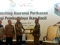 Seusai Udang, Asuransi Perikanan Jangkau Pembudidaya Patin Cs