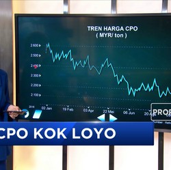 Harga CPO yang Masih Loyo