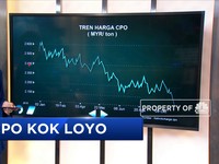 Harga CPO yang Masih Loyo