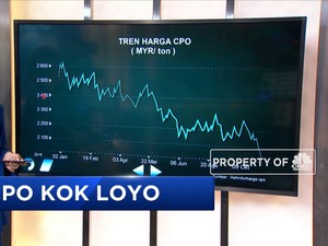 Harga CPO yang Masih Loyo