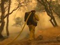 VIDEO: California Dilalap Kebakaran Terparah dalam Sejarah