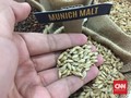 5 Makanan yang Dapat Mencegah Serangan Jantung