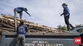 Sudin Sumber Daya Air Jakarta Utara juga mempersiapkan 3.000 batang kayu dolken untuk menanggulangi tanggul-tanggul yang jebol. (CNN Indonesia/ Hesti Rika)