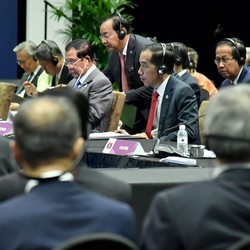 Temui Putin, Jokowi Minta Rusia Dukung CPO dan Buah Tropis RI