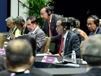 Temui Putin, Jokowi Minta Rusia Dukung CPO dan Buah Tropis RI