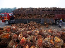 Dear Bos Sawit, Harga CPO Meroket Lagi! Tapi Awas Kena Prank