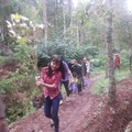 Tanah di Kawasan Hutan, Menko Darmin: Ada yang tak Terpikir
