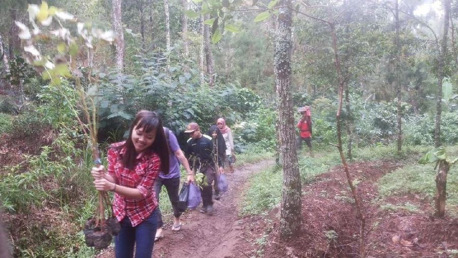 Pemerintah berjanji mempercepat pelaksanaan penyelesaian penguasaan tanah dalam kawasan hutan (PDTKH.