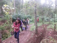 Tanah di Kawasan Hutan, Menko Darmin: Ada yang tak Terpikir