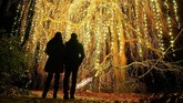 Biaya untuk menikmati gemerlap lampu di taman ini sekitar 19 euro atau sekitar Rp314 ribu.