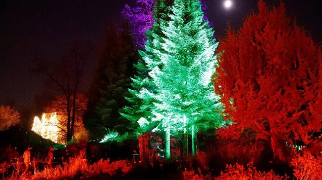 Paling Bagus 16+ Gambar Taman Ff - Gani Gambar